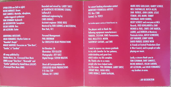 Spyro Gyra : Point Of View (CD, Album)