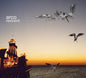Arco : Restraint (CD, Album)