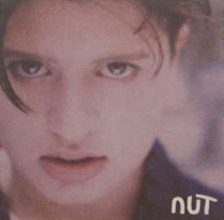 Nut (3) : Fantanicity (CD, Album, Jew)