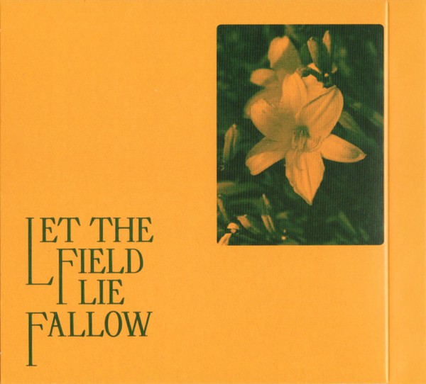 The Antlers : Green To Gold (CD, Album)