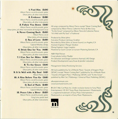 Allison Pierce : Year Of The Rabbit (CD)