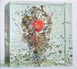 Jacob Collier : Djesse Vol. 4 (Deluxe) (2xCD, Dlx, Dig)