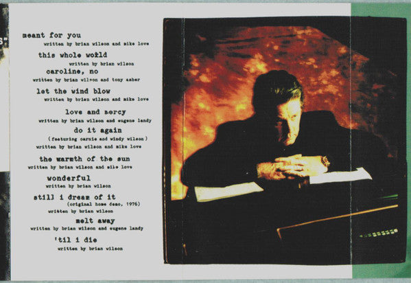 Brian Wilson : I Just Wasn't Made For These Times (Cass, Album)