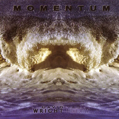 David Wright (2) : Momentum (CD, Album)