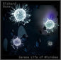 Richard Bone : Serene Life Of Microbes (CD, Album)