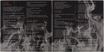 Lee Aaron : Fire And Gasoline (CD, Album)