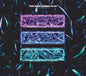Two Door Cinema Club : Gameshow (2xCD, Album, S/Edition)